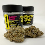 Candyland | Hashtag Honey | Flower | 3.5g