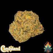 Native Fire *OZ*- Candyland (sm)