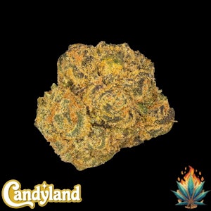 Native Fire - Native Fire *OZ*- Candyland (sm)
