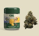 Cannabiotix - 3.5g - Jet Lag OG