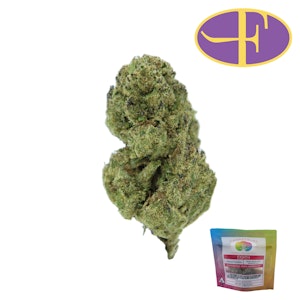 CANNA TRUST - Orange Crush