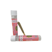 Cantaloupe Kush (S) | (Single) 1.2g Infused Preroll | Fields Family Farmz