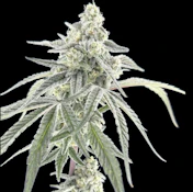 Green Lightning | Cap Junky | 3.5g