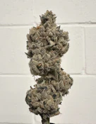 Cap'd Out 3.5 Gram Jar By Alt Sol