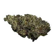 Capo Dei Capi | Flower | 3.5g | Battenkill Buds
