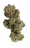 Basic Bud - 1/4 Bag - Caps Junky