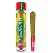 Apples & Bananas XL Infused PreRoll - 2g - JTR