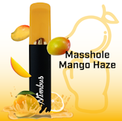 Masshole Mango Haze - 1.0g - Disposable