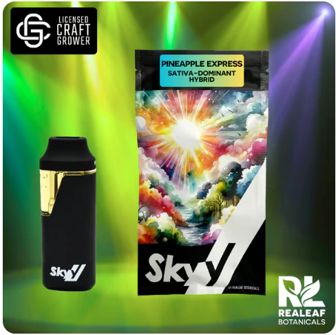SKYY - Pineapple Express Disposable Vape - 1g Main Image