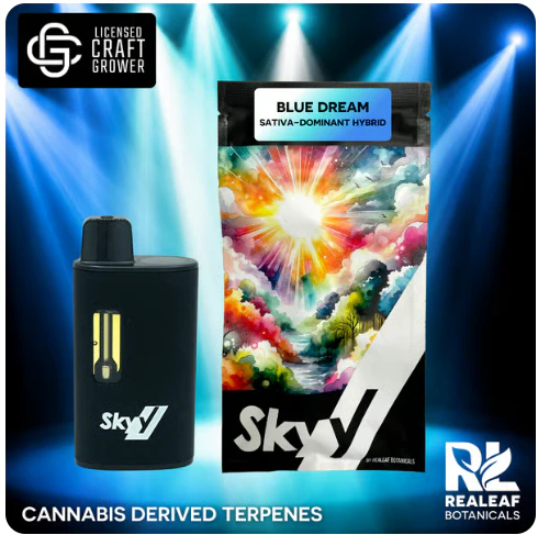 SKYY - Blue Dream Disposable Vape - 3g Main Image