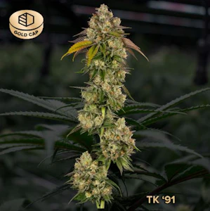 CommCan - TK 91 Flower - 3.5g - CMC