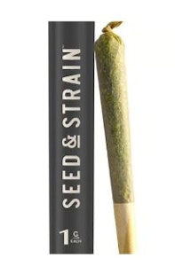 TRIPLE SEVEN - Chemex #10 PreRoll - 1g - PTC