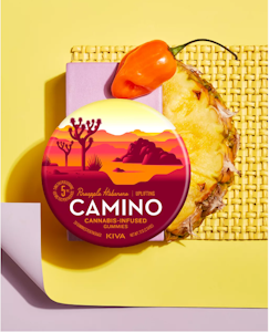 Camino - Camino - Pineapple Habanero Gummies 100mg