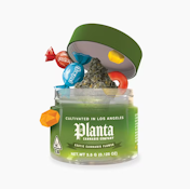 Planta - Coffin Candy 3.5g