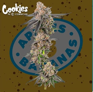 COOKIES - Apples & Bananas Flower - 3.5g - CMC