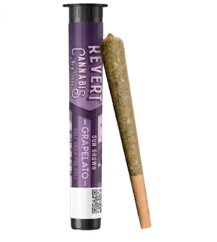 Revert - Grapelato -Hybrid- 25.9% THC | Sun Grown Flower Pre-Roll - .5g | Revert  -O6 FRONT