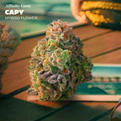 Capy Flower T30.97% H 01061