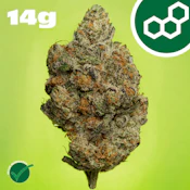 Carbon FBR 14g 42234
