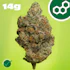 Product Preview Image 1