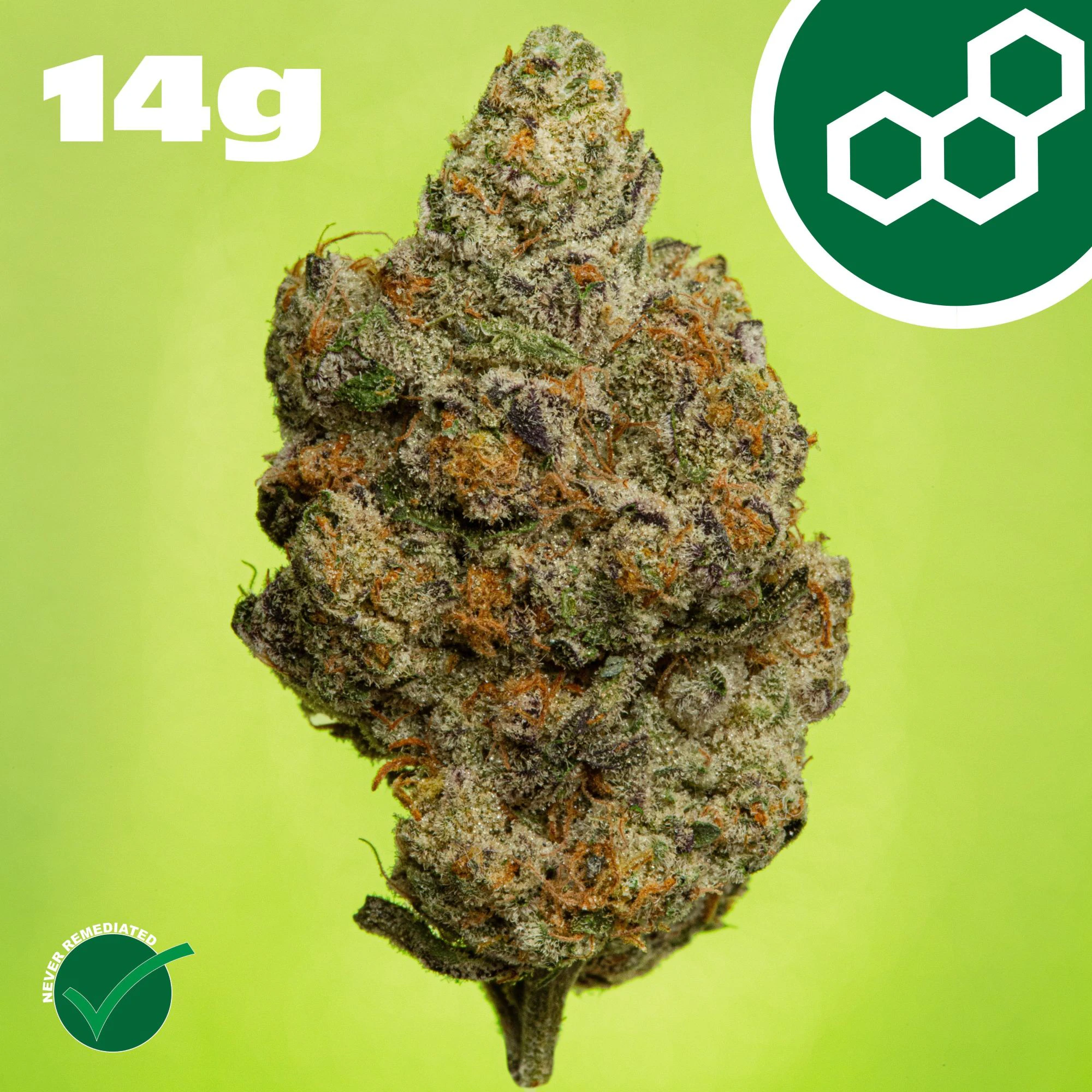 Theraplant - Carbon FBR 14g 42234 Main Image