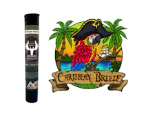 Caribbean Breeze #6 PreRoll - 1g - LRP