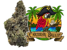 Caribbean Breeze #6 Flower - 3.5g - LRP