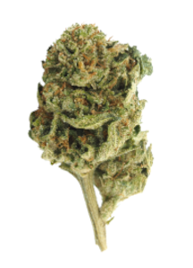 Basic Bud - Basic Bud - 1oz - Cartel OG Smalls
