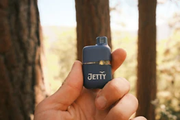 Jetty Extracts | Blackberry Cream Cake mini tank 1G