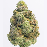 Northern Star - Cashmere Indoor Flower 3.5g