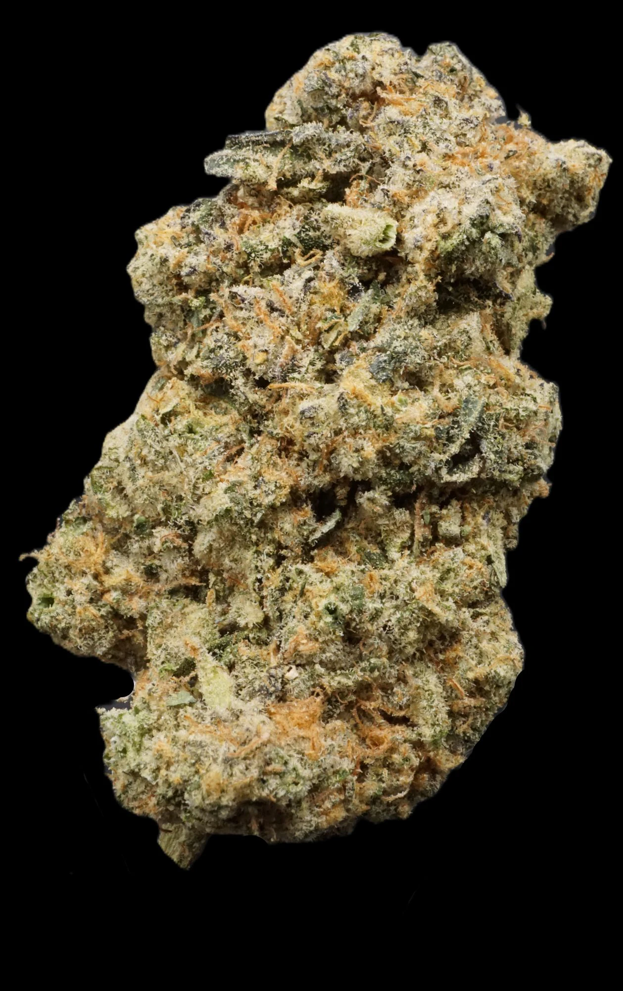 Frosted Farms - Platinum Sugarcane - Bulk Flower (Hybrid) Main Image