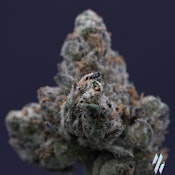 MilkWeed | Catskill Candy  | 3.5G