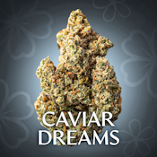 Caviar Dreams - 3.5G Jar By Blossomz