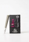 Celestial | Preroll | Lemon Cherry Gelato (Libra) | 1g