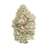 Product Preview Image 2