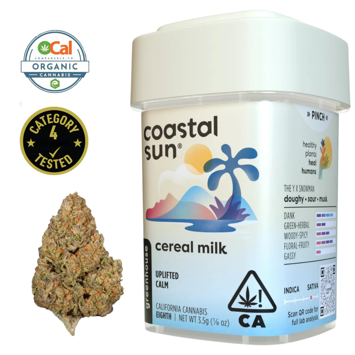 Coastal Sun - Cereal Milk (S) | 3.5g Greenhouse Flower | Coastal Sun Main Image