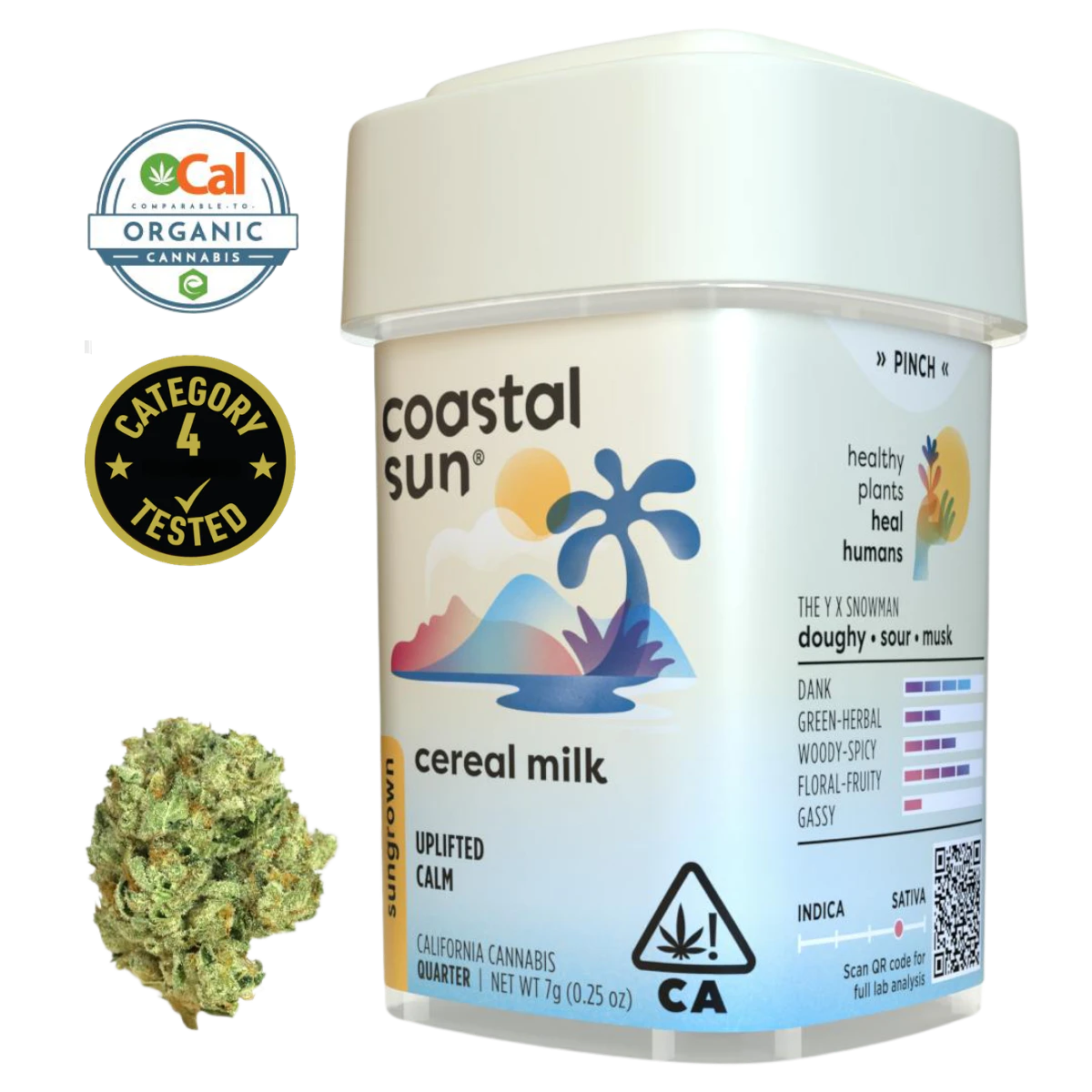 Coastal Sun - Cereal Milk (S) | 7g Sun Grown Flower | Coastal Sun Main Image
