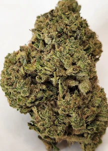 Cali-Blaze - CaliBlaze -Champagne float [ H ] 14 g THC% 37.4