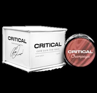 Critical Concentrates - Critical Concentrates Live Rosin | Champaya | 1g