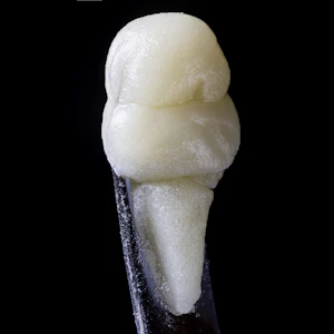 Mountain Man Melts - Mountain Man Melts - Live Rosin - Champaya - Concentrates - 1.0g