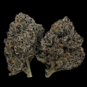 Chapo Cherries -- Ounce