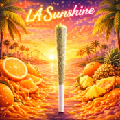 LA Sunshine | Pre Roll