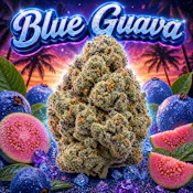 Blue Guava