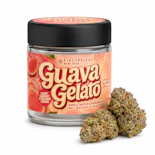 Guava Gelato – Indica Hybrid – 33.96% THC | 3.5g Premium Cannabis (Flower) | Electraleaf --AB0 BACK