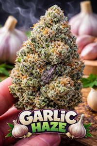 FIORI - 3.5g Fiori Indoor Flower - Garlic Haze 38%