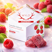 Wyld Gummies - Sativa Raspberry 100mg
