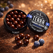 Kiva Terra Bites - Milk Chocolate Blueberries 100mg