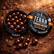 Kiva Terra Bites - Dark Chocolate Espresso Beans 100mg