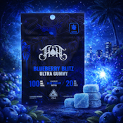 Heavy Hitters Gummies - Blueberry Blitz 100mg