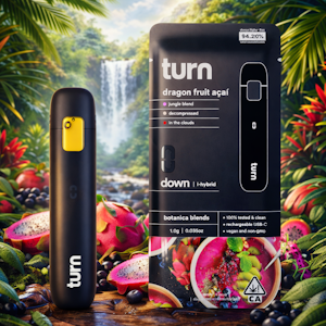 TURN - TURN Disposable 1g - Dragon Fruit Acai 91%