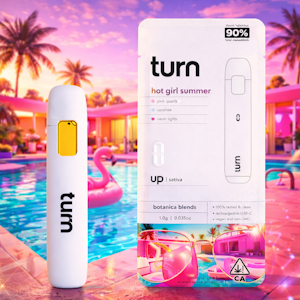 TURN - TURN Disposable 1g - Hot Girl Summer 91%